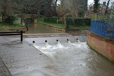 Buntingford Ford