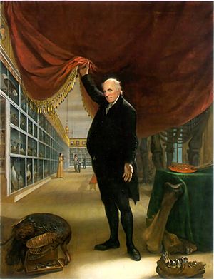 C W Peale - The Artist in His Museum