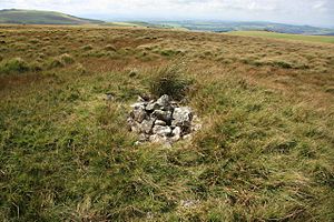 Cairn north of Roos Tor - geograph.org.uk - 1468487