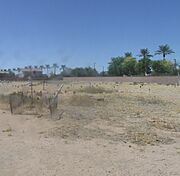 Chandler-Goodyear-Ocotillo Cemetery-1916-2