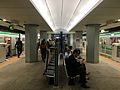 Chiyoda Line platform doors - Otemachi stn - May 24 2019