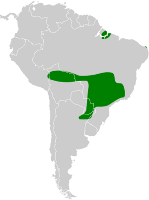 Coryphaspiza melanotis map.svg