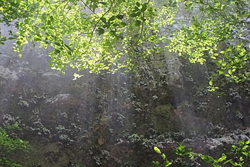 Dentro del Parque Nacional de las Cavernas del Río Camuy