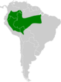Dichrozona cincta map