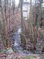 Eagle Creek tributary Birkdale Pl south