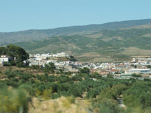 View of Fiñana