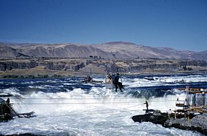 Fishing at Celilo Falls on the Columbia River (3229034311)