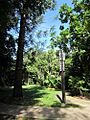 Fleckers Botanic Gardens, July 2015