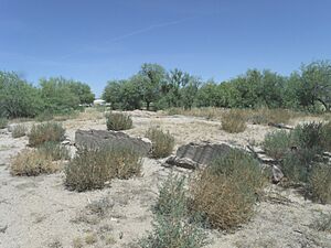 Florence-Ruins of Levi Ruggles House-1866