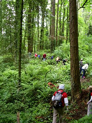 Forest park volunteers rerouting wildwood trail P2841