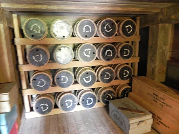 Fort McAllister Now 06