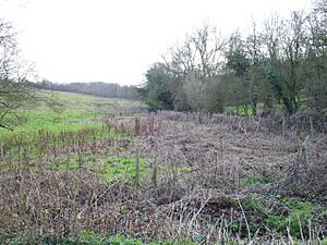 Fox's Cross Bottom - geograph.org.uk - 340102