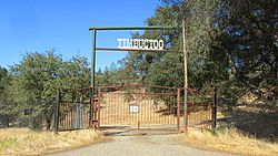 Timbuctoo gate.