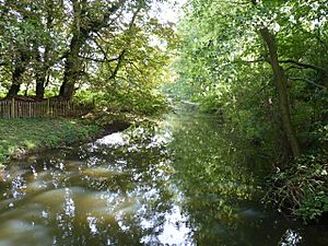 Gently flows the Yare (geograph 2090923).jpg