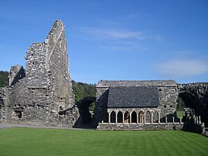 Glenluce Abbey (12c Cistercian) - geograph.org.uk - 490895