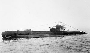 HMS Sidon.jpg