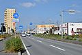 Ibaraki prefectural road route 25 (Tsuchiura-Inashiki line) in Hitachino-Higashi,Ushiku city