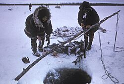Inuit fishing for sheefish at Selawik NWR