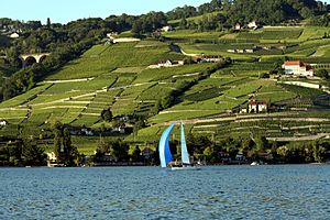 Lake Geneva Lavaux