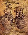 Leonardo da vinci, Heart and its Blood Vessels