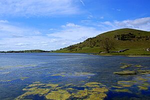 LimerickCounty LoughGur