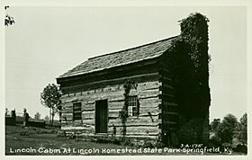 Cabin