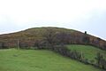 Llwyn Bryn-dinas from the north - geograph.org.uk - 650525