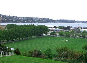 LoganPkDunedin