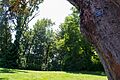 Madrona Park (Portland, Oregon)
