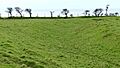 Margam Park, Caer Cwmphilip hillfort