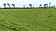 Concentric hillfort defenses at Caer Cwmphilip