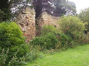 Morpeth Castle Walls