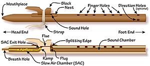 Native American flute Composite Anatomy