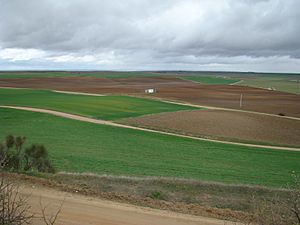 Nava del Rey Valladolid campos labor ni