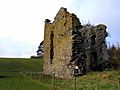 Nether Horsburgh Castle 2