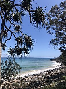 Noosa Heads Trail Walk