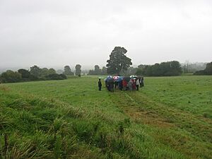 Outing to Dowth, Co. Meath (2) - geograph.org.uk - 2072057