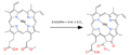 Oxidative cyclase to chlorin