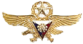 PAF Gold Wings Badge.png