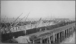 Photograph of Fisherman's Wharf in San Francisco, California, ca. 1891 - ca. 1891 - NARA - 513106