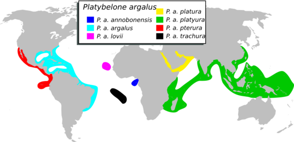 P. argalus range map, with each major subspecies highlighted