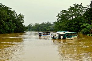 Río Sarapiquí