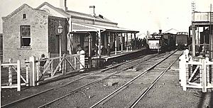 Railway Station - Maitland old1