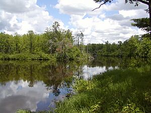 Reflectionlake