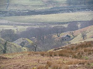 Remains of Arn Gill Mine geograph-4400072-by-Gordon-Hatton