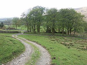 Remains of St Fillan's Chapel (geograph 14718)