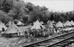 Residents of Holly Grove tent colony