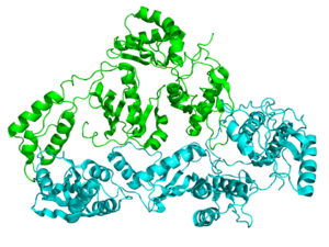 Reverse Transcriptase 1HMV