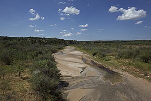 Salt Fork Brazos Kent County Texas 2015