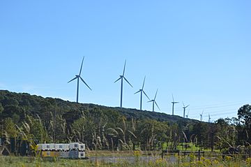 Savage Mountain wind farm.jpg